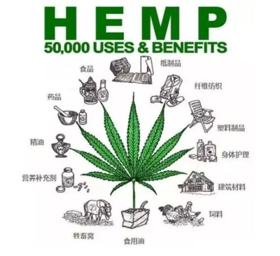 工業大麻火熱背后 泡沫還是金礦？石油制品制造的視角分析